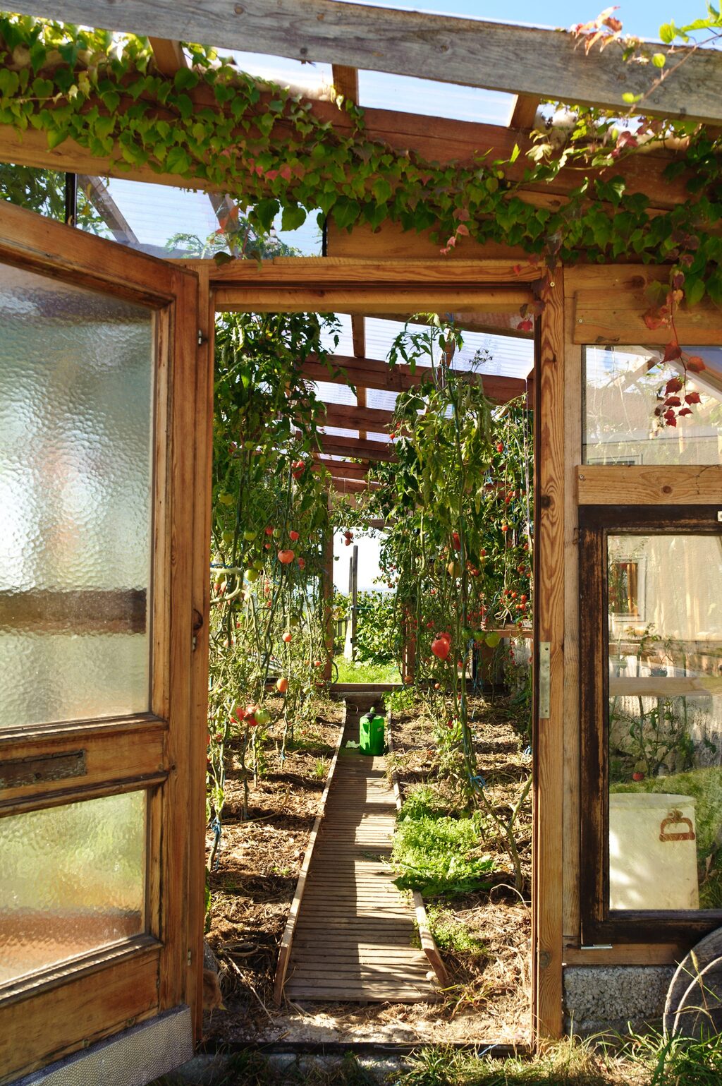 Green House Sheds (1)