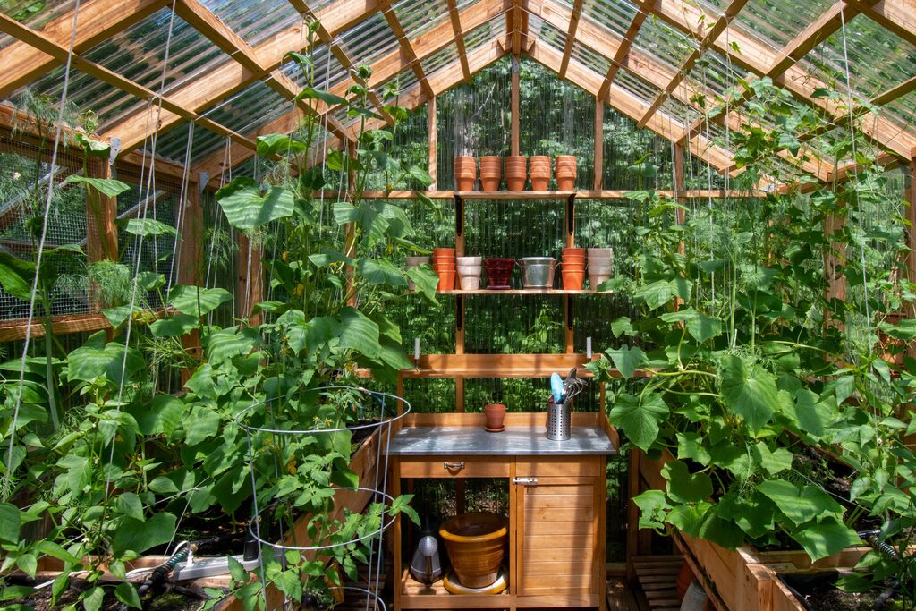 Green House Sheds (4)