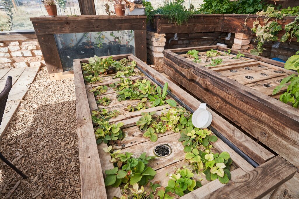 Green House Sheds (7)