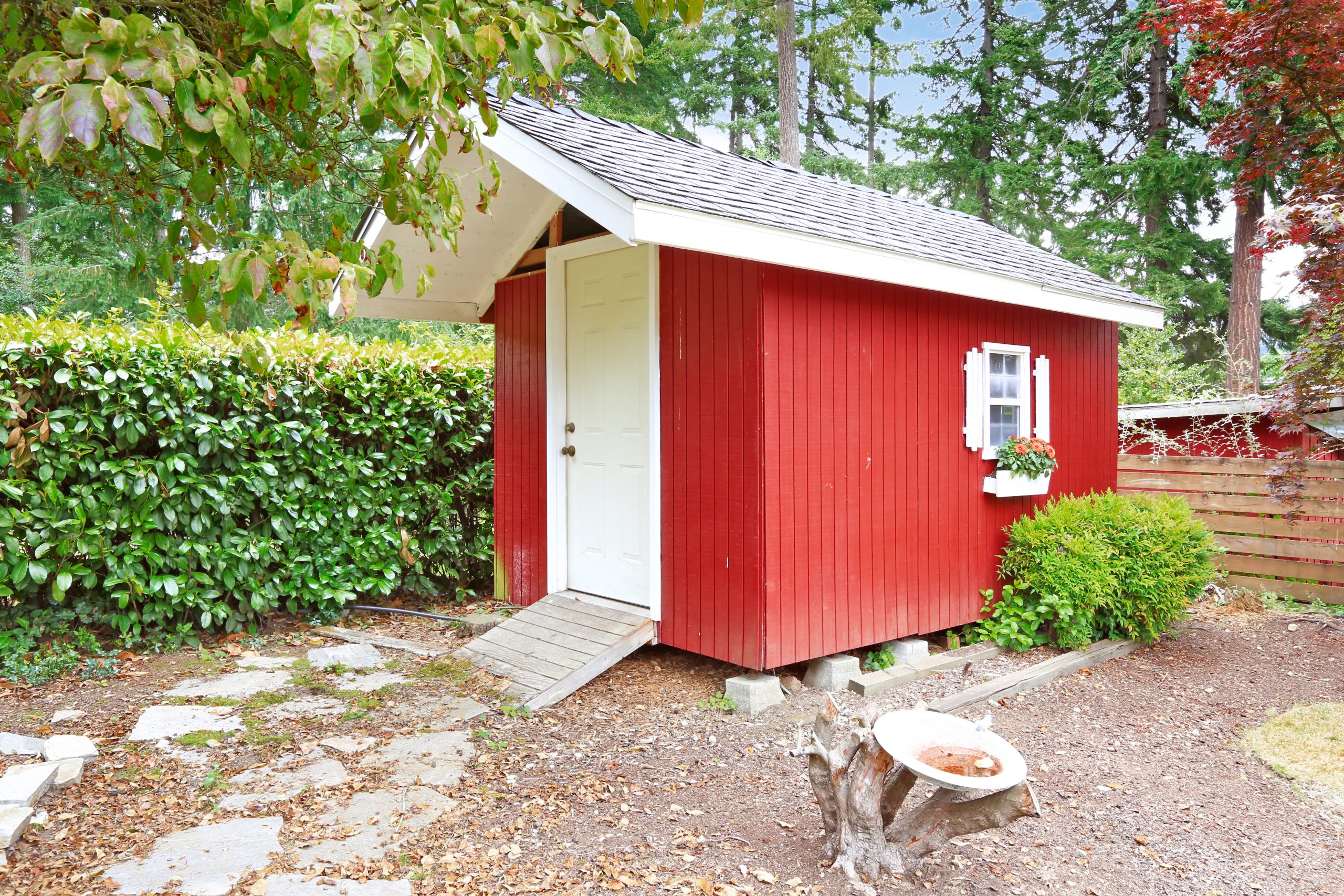 AdobeStock_69279144 scaled
