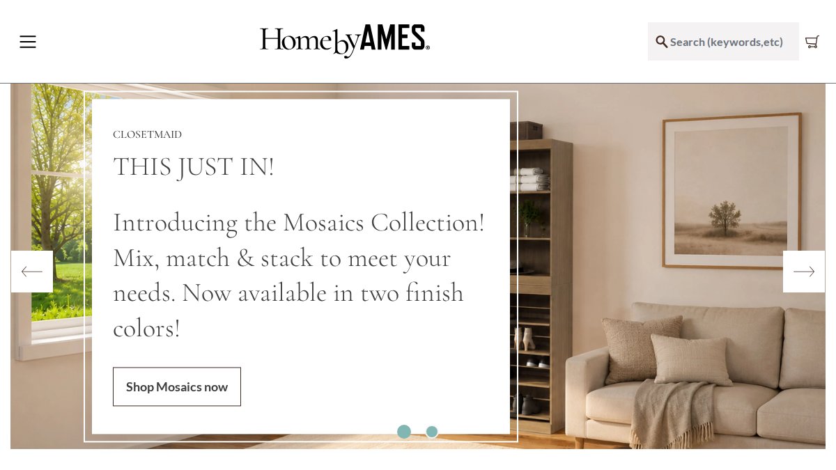 Screenshot of ames.com interface