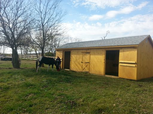 Horse shelter (9)