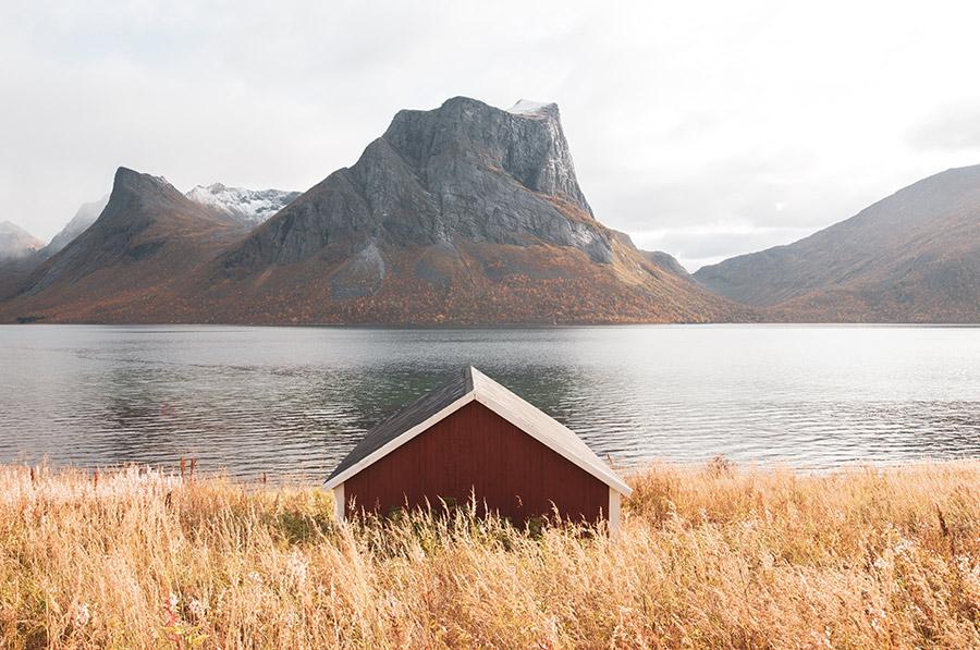 WhatsApp Image 2023 08 26 at 6.43.38 AM