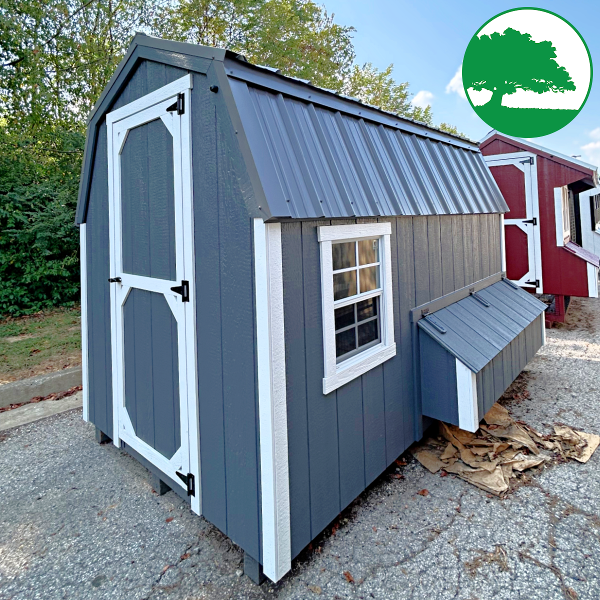 6′ x 10′ Painted “Dutch Coop w/ Electric”
