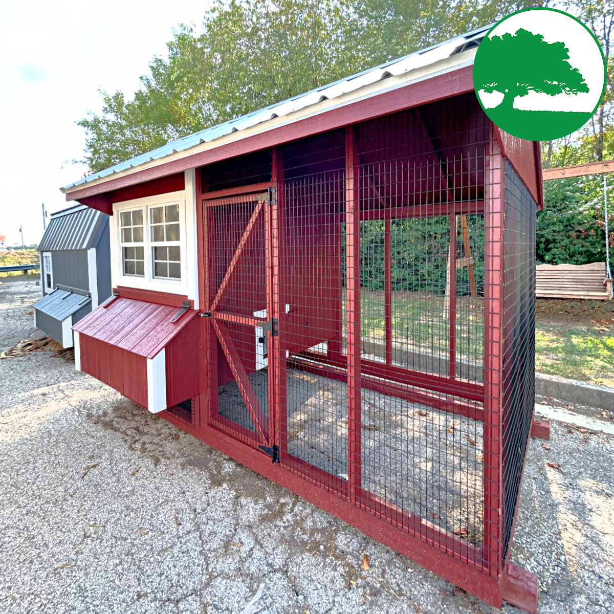6′ x 10′ Painted “Combination Coop”