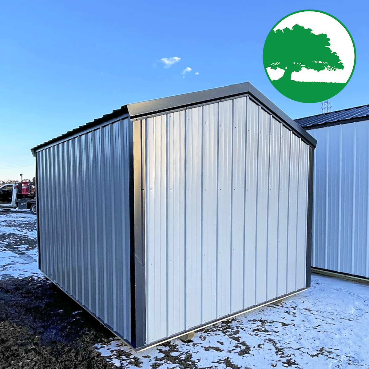 10' x 12' Metal Utility