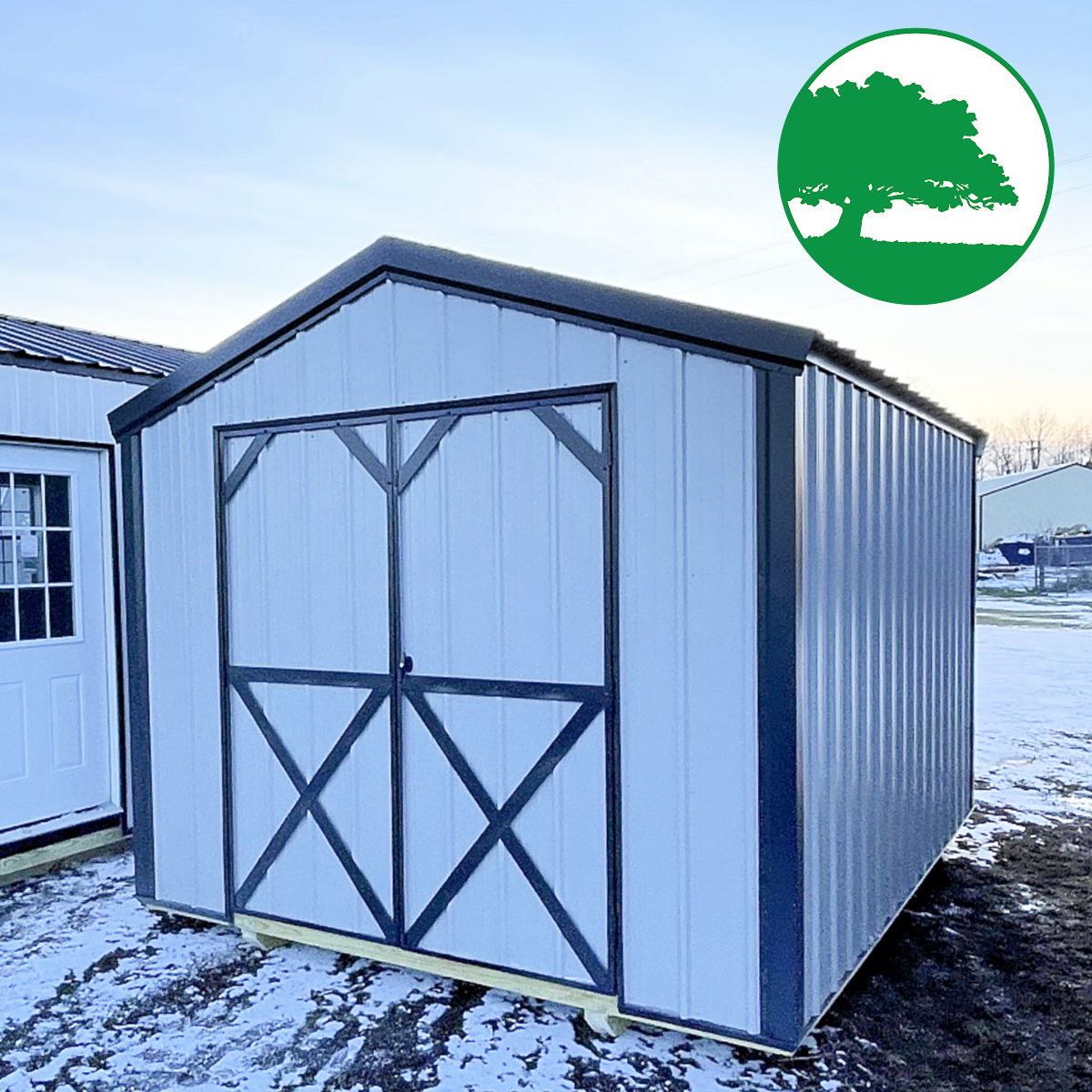 10' x 12' Metal Utility
