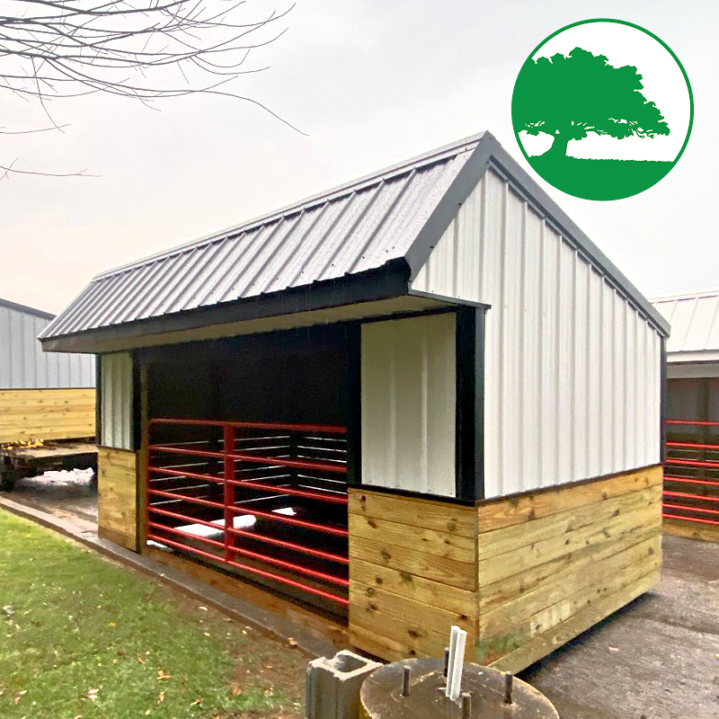 10' x 16' Metal "Animal Shelter"