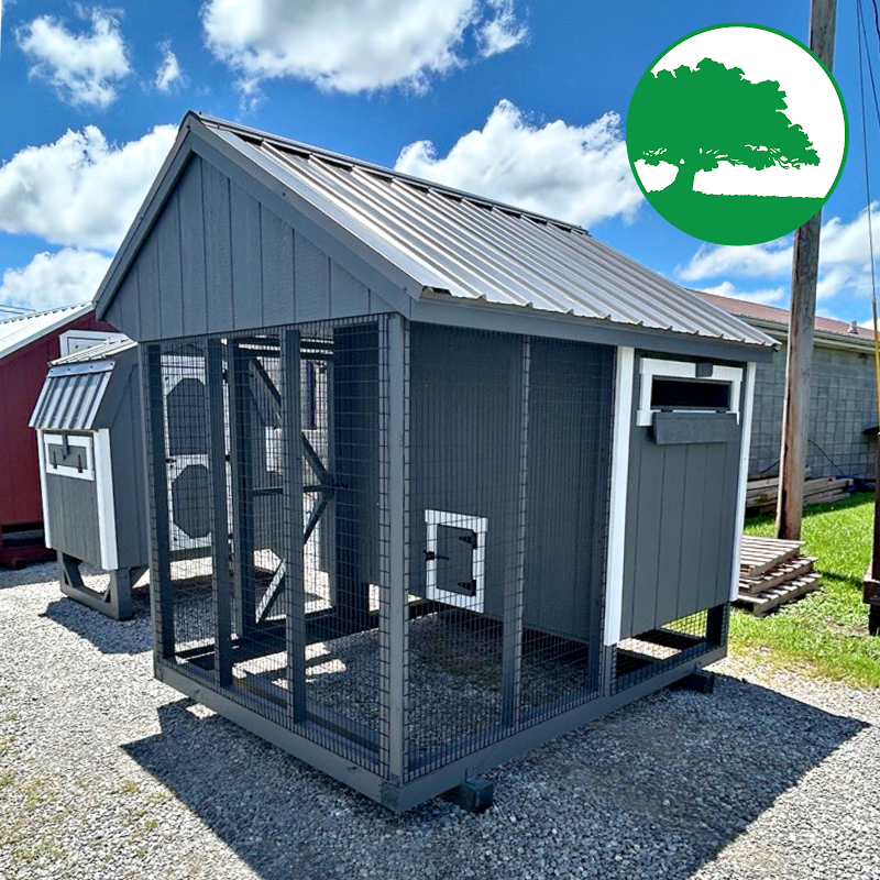 6' x 8' Painted "Combination Coop"