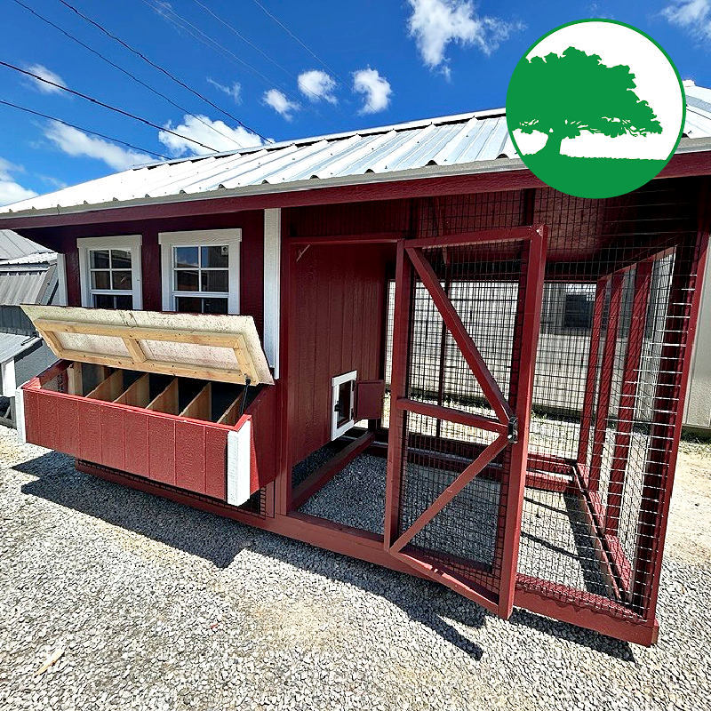 6' x 12' Painted "Combination Coop"