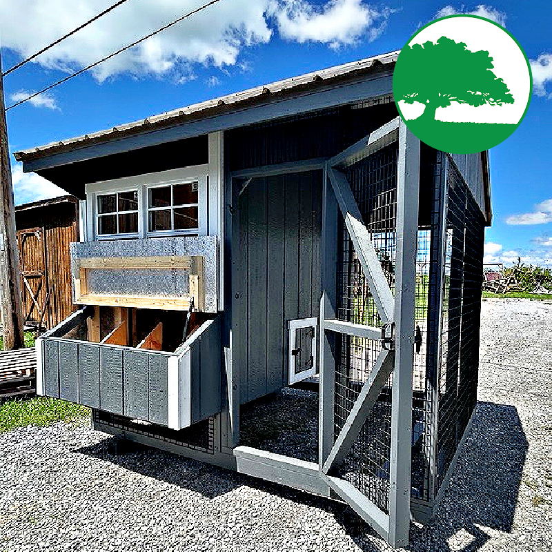 6' x 8' Painted "Combination Coop"