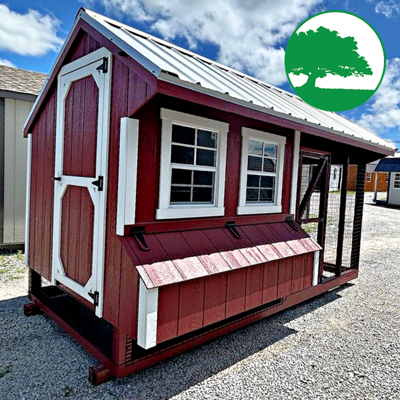 6' x 12' Painted "Combination Coop"