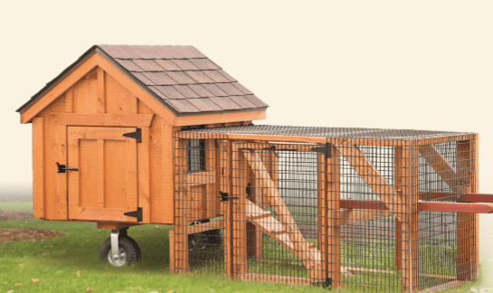 Portable Chicken Coop