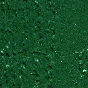 Hunter Green 300x300