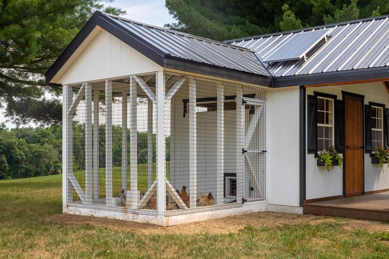 view of side of white and black chicken coops outdoor run with chickens inside and solar panel on black metal roof