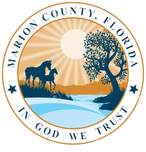 image removebg preview