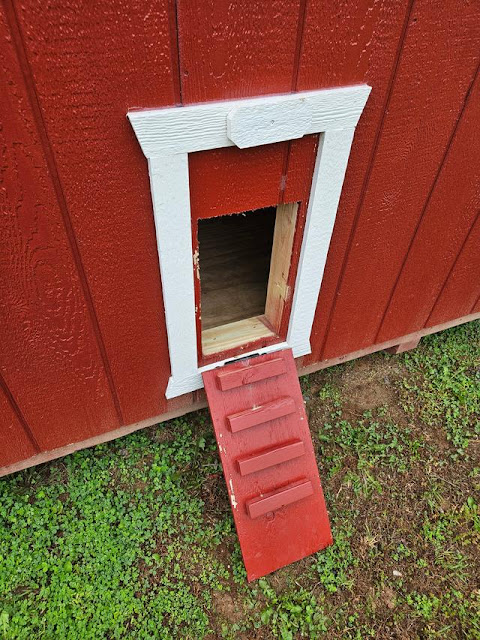 Chicken Door