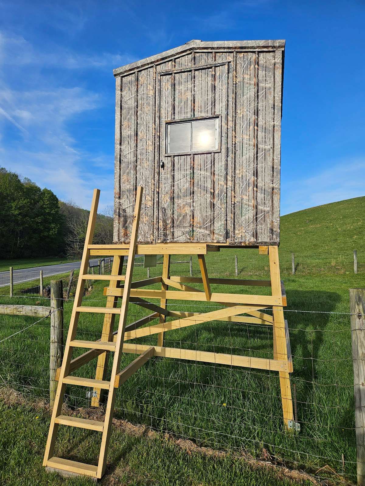 Elevated Blinds
