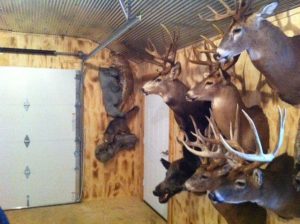 photo 2 (5)