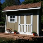 Swansea Illinois Classic Buildings Store