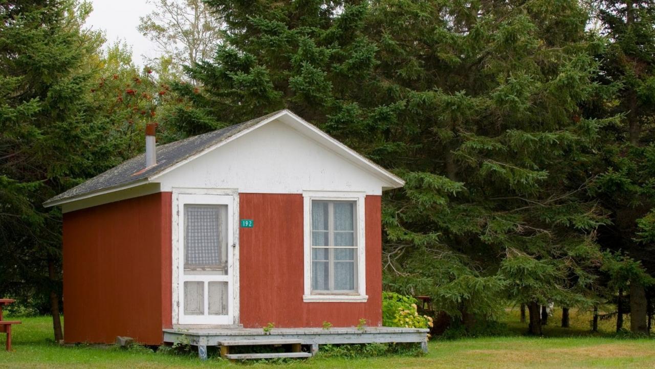 Instead of a Traditional Home Family Builds Tiny Home Village