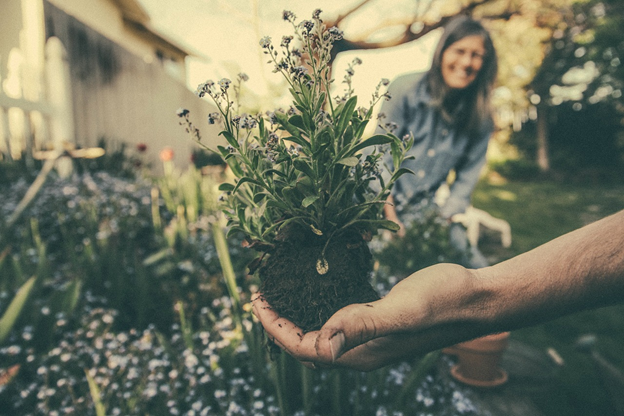 Gardening And Landscaping: Top 5 Ways To Make It Simple