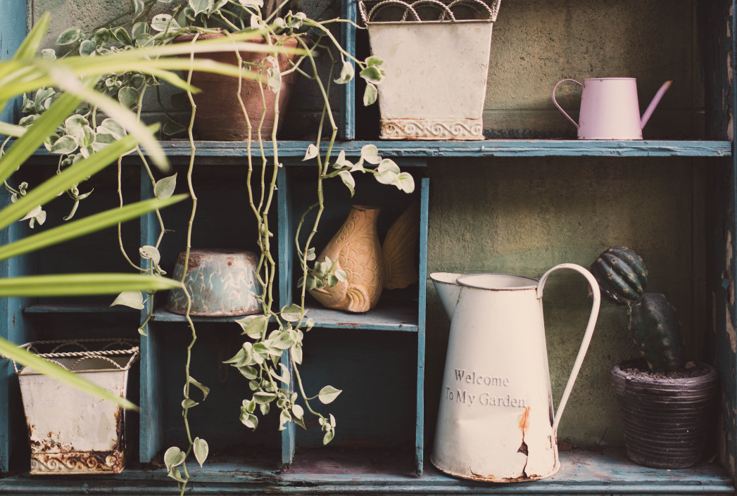 Creating and Organizing the Perfect Backyard Garden Shed