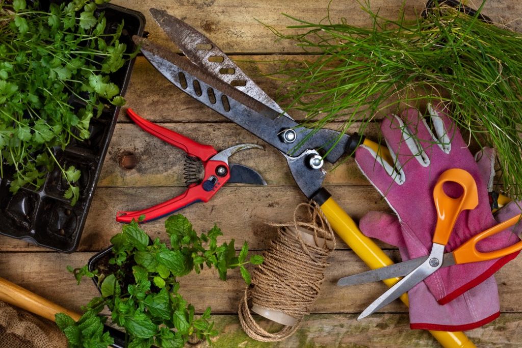 Tools Every Gardener Should Have in Their Garden Shed