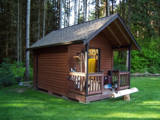 Caring for Your Shed Roof