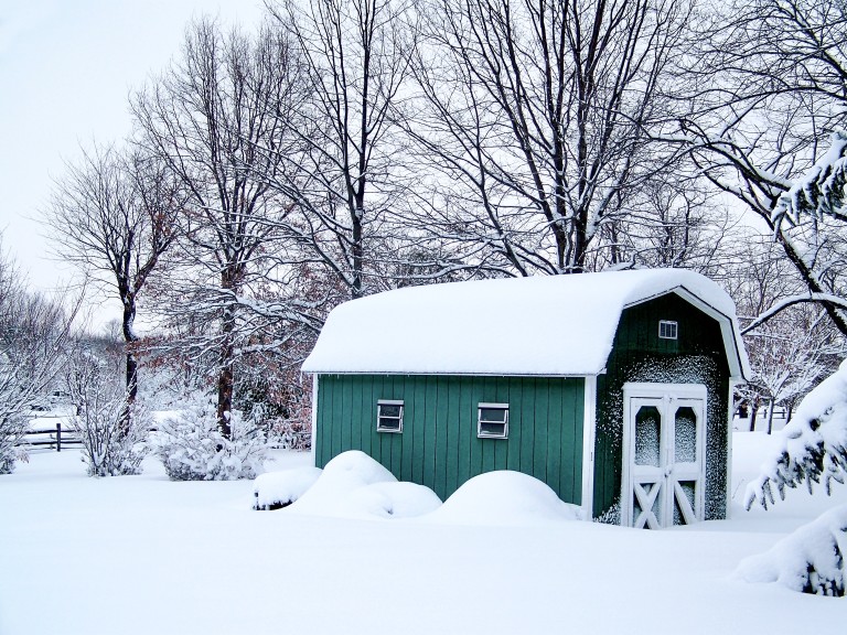 10 Things to Consider When Buying an Outdoor Shed