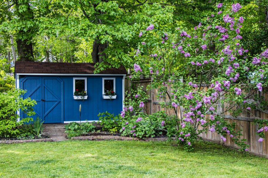 How to Make a Shed Livable