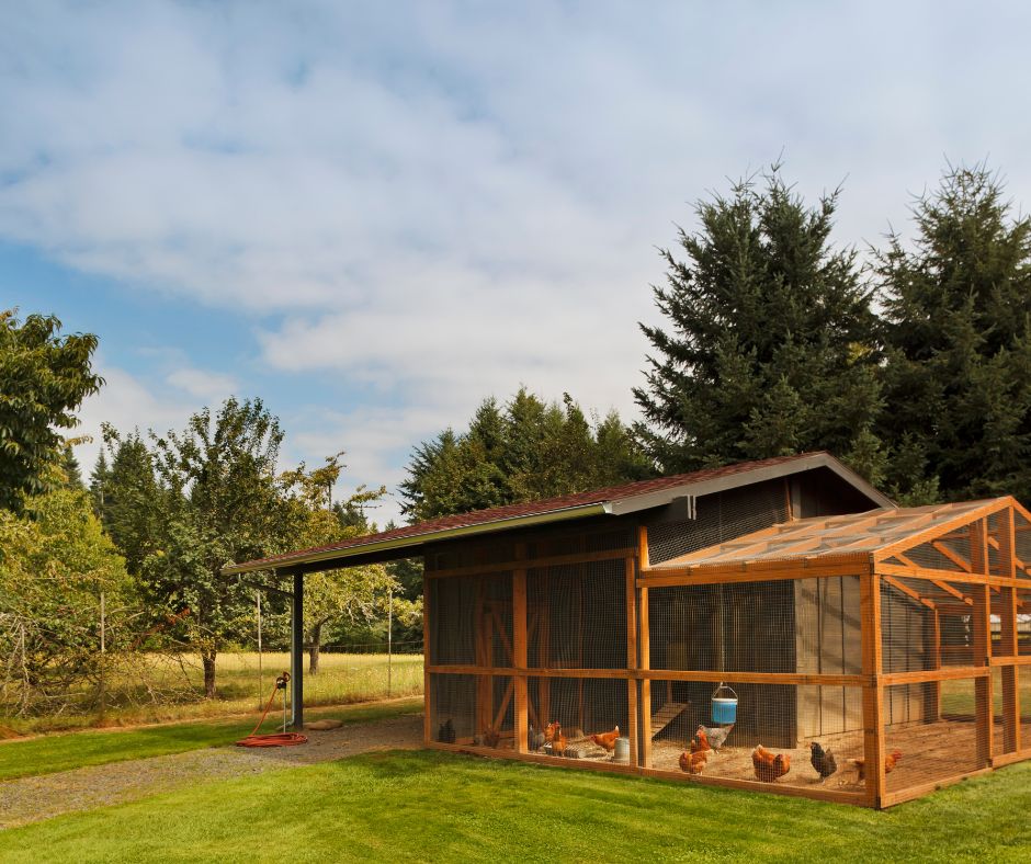 How to Prevent Moisture Damage in Your Garden Shed