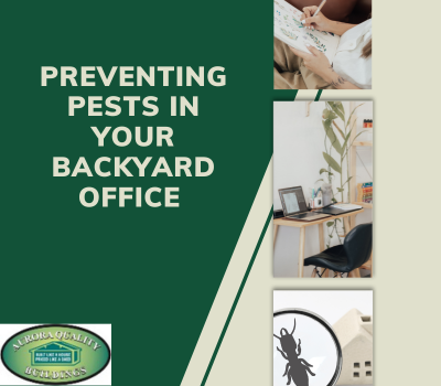 Preventing Pests in Your Backyard Office