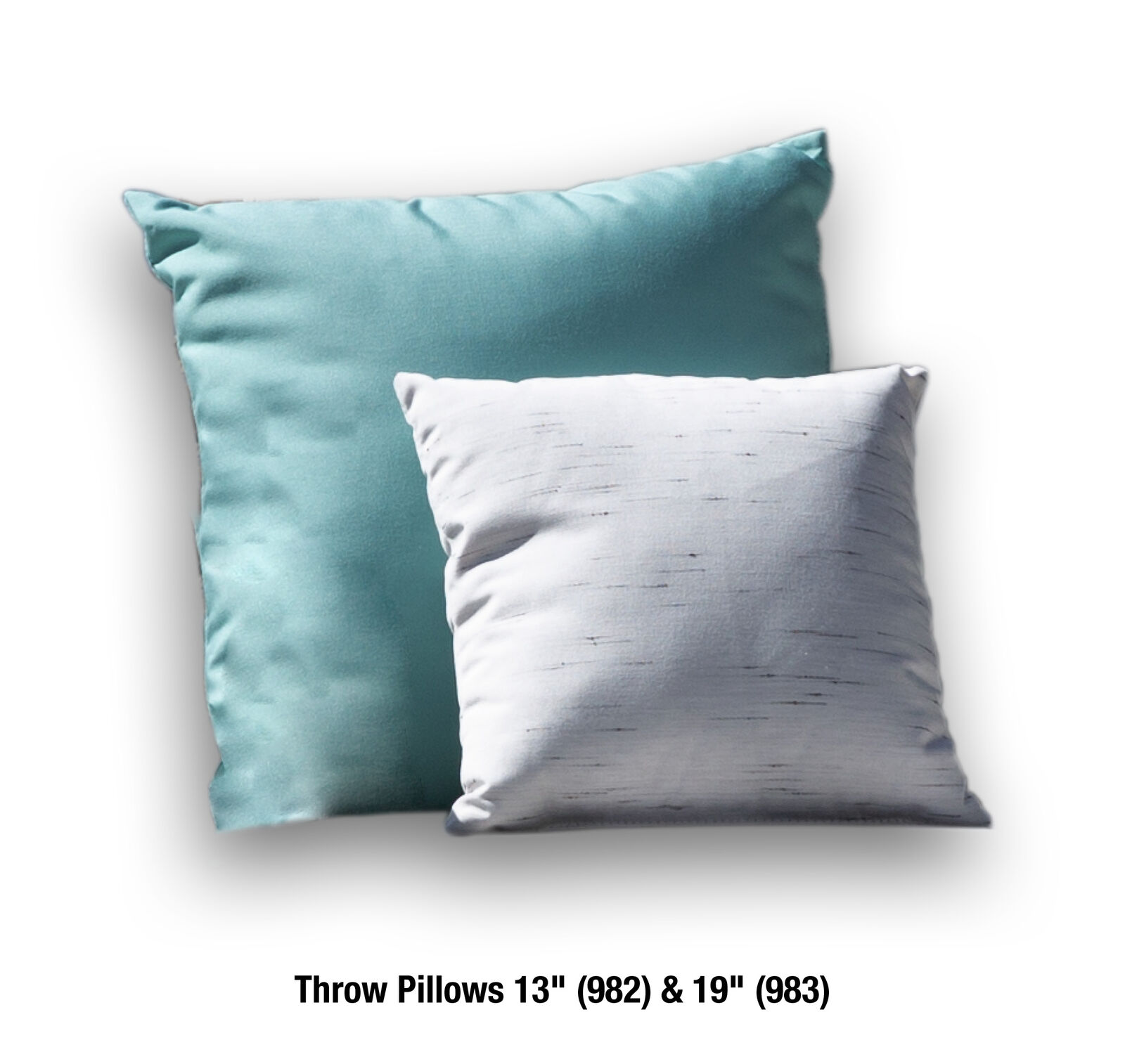 19″ Throw Pillow