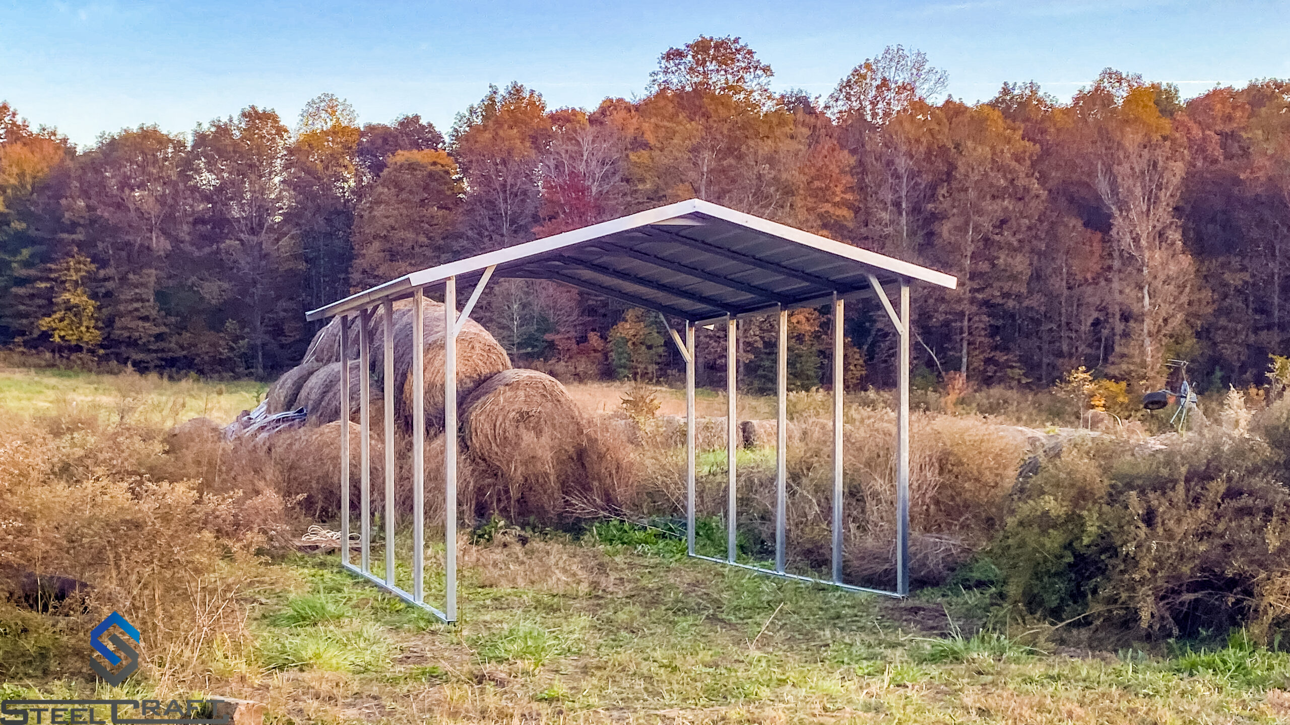 Carport Bearded Bryan Buildings & Barns
