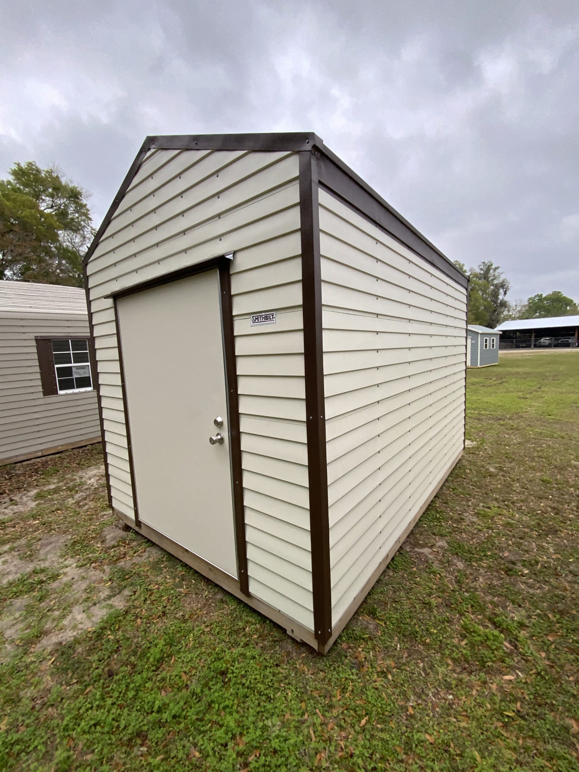 [139807] 8×12 Shorthorn