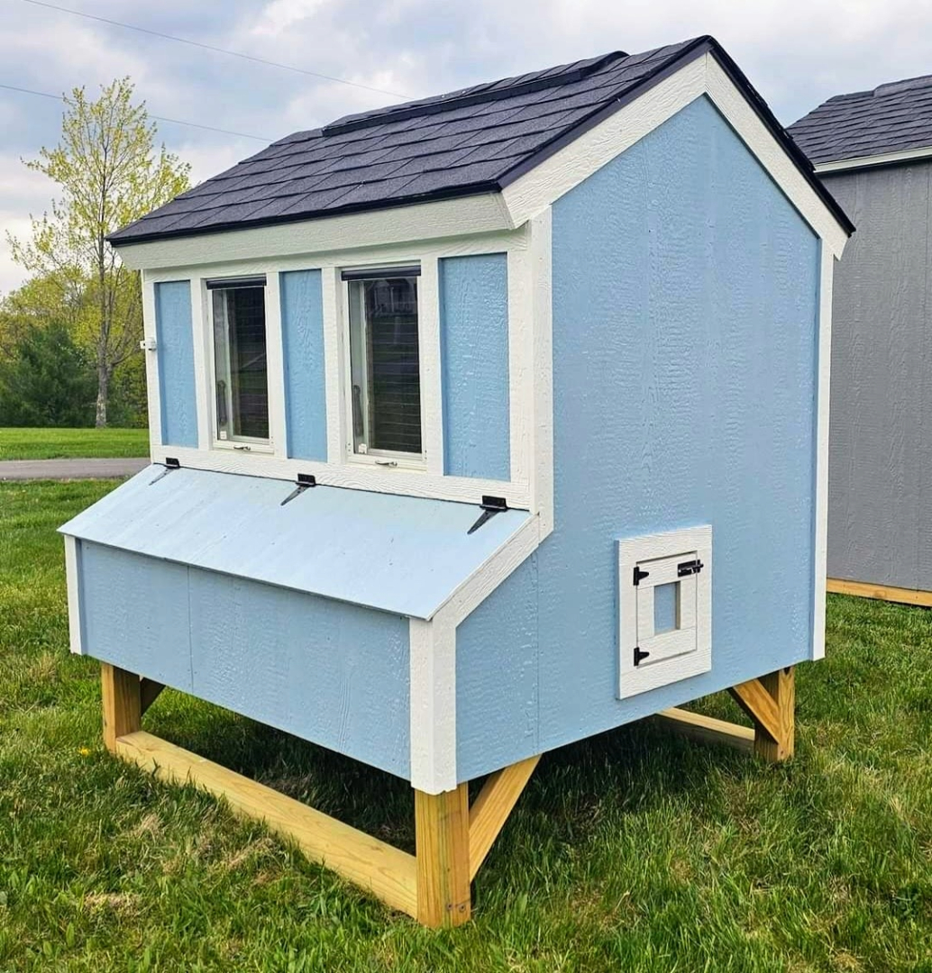 chicken coop 1